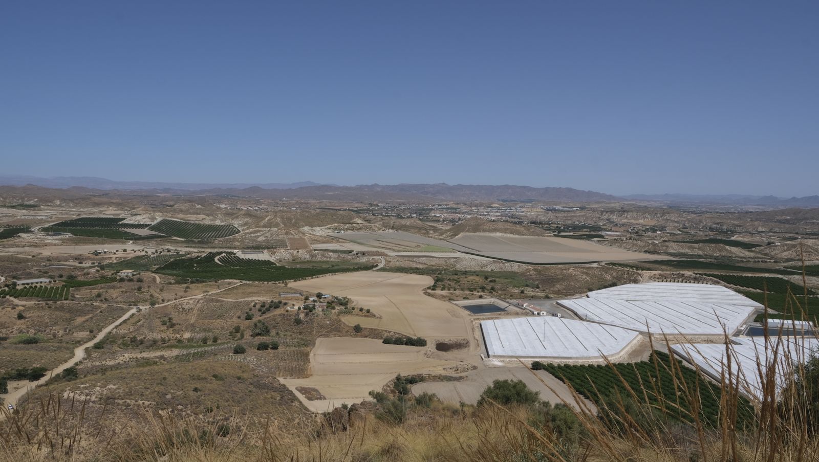 Imágenes de la Romería de la Virgen de la Cabeza de Antas