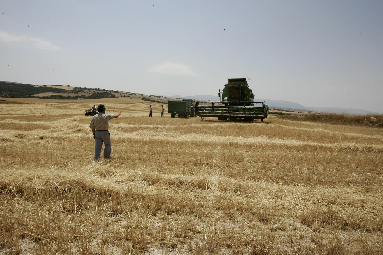 Siembra en la zona de Topares.