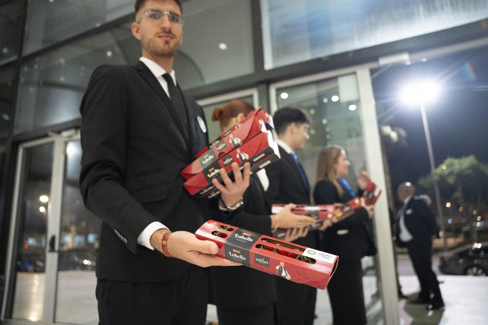 La gala de los XIII Premios de Diario de Almería, imagen por imagen