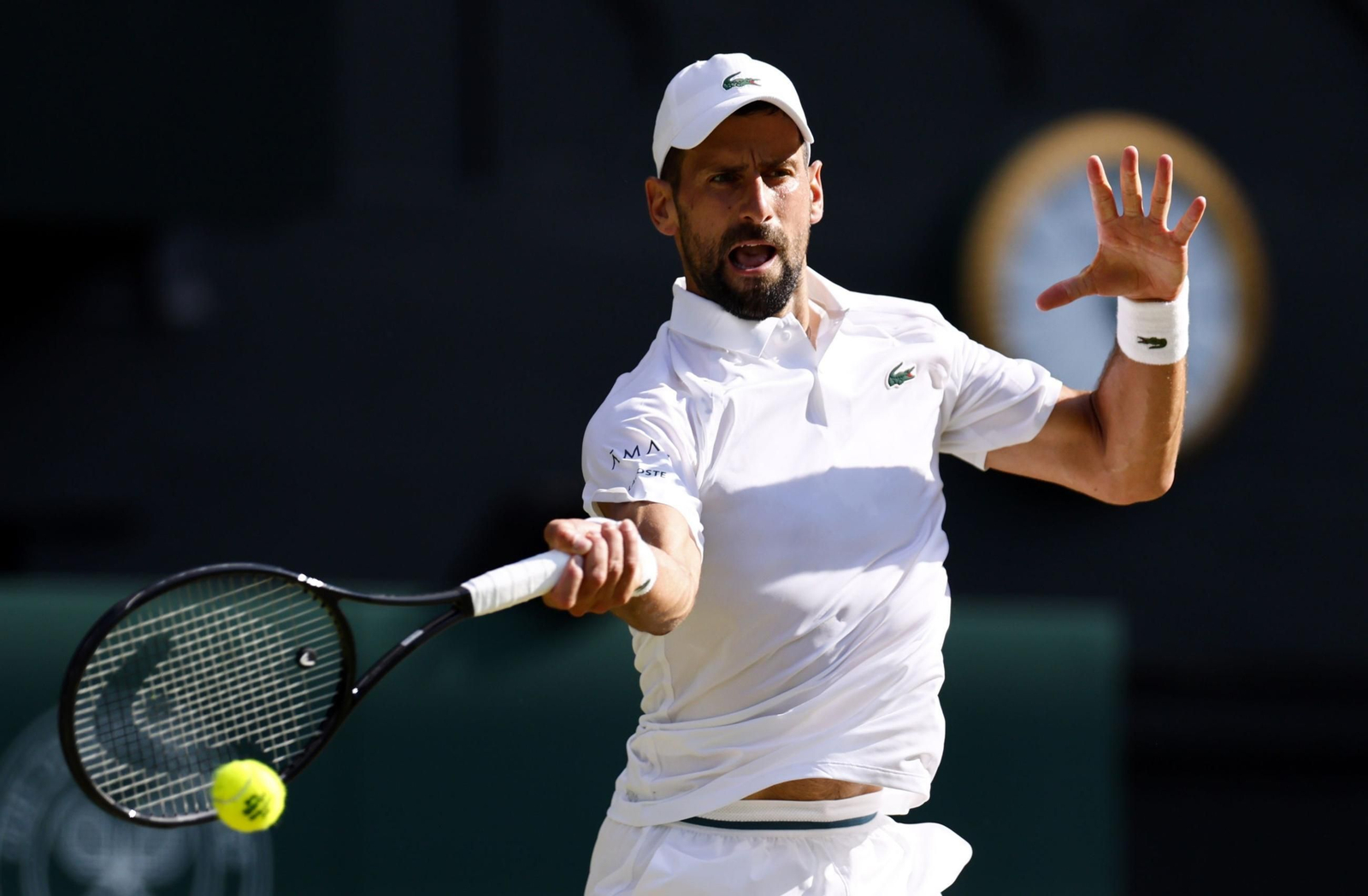 Las mejores imágenes del Sinner - Djokovic Las mejores imágenes del Sinner - Djokovic