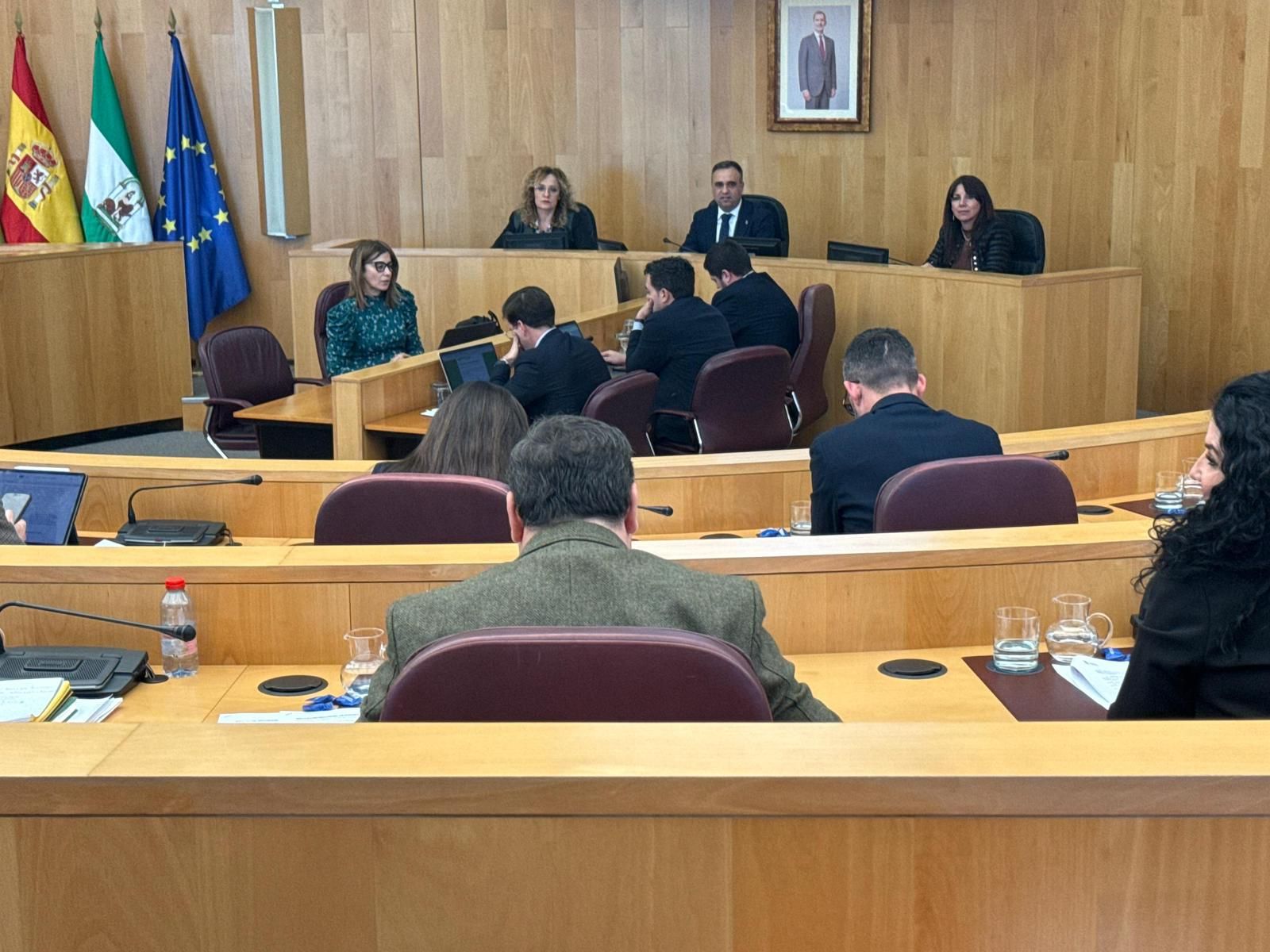 Imagen del pleno ordinario del mes de febrero celebrado en la Diputación de Granada este jueves