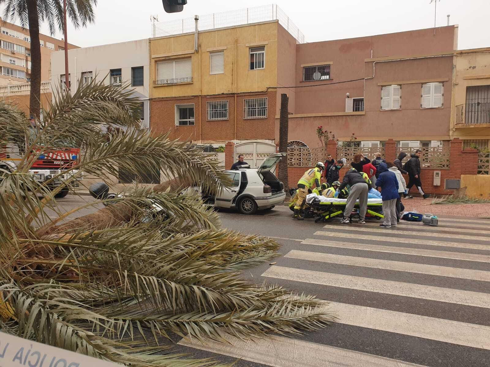 Una palmera causa un brutal accidente en Almería