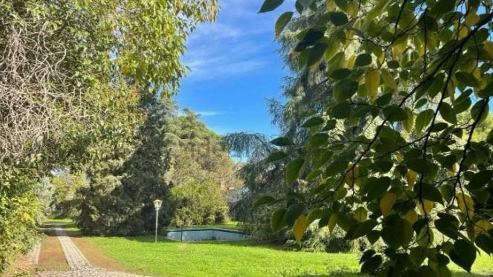 Acceso al chalet en venta