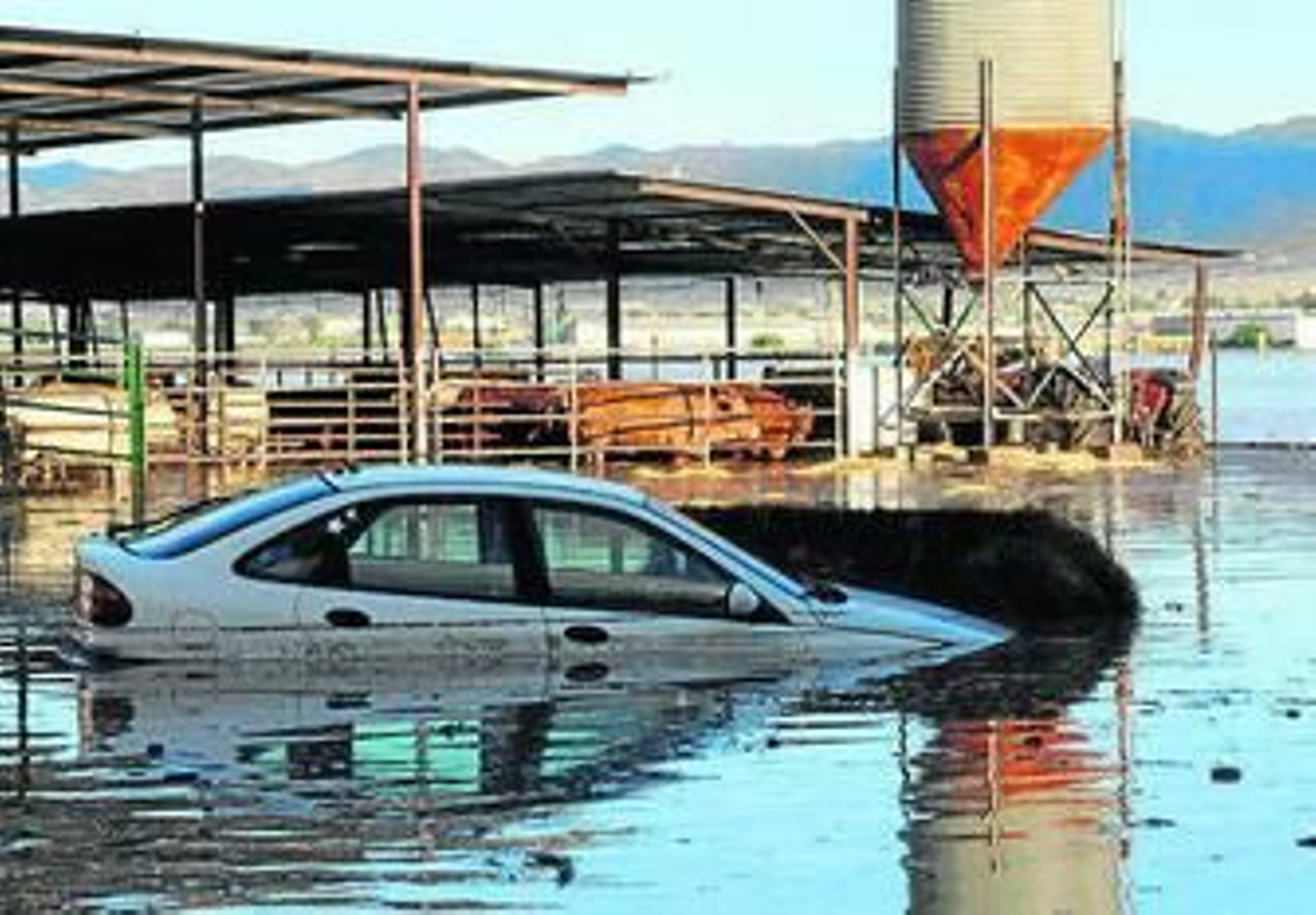 Una granja de Lorca (Murcia) afectada por las inundaciones.