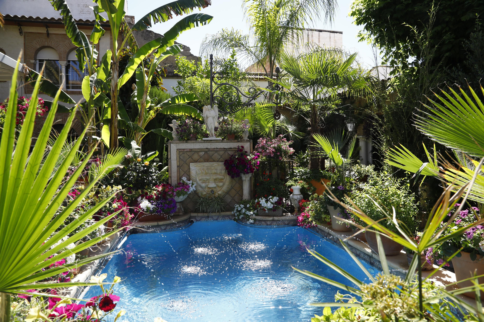 Los Patios de Córdoba se preparan para el fin de semana, en imágenes