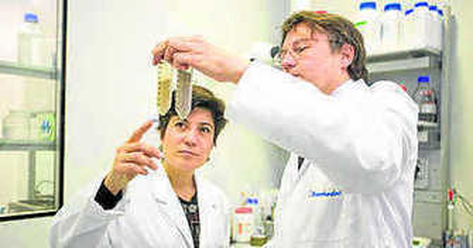 Cocineros preparando diversos platos fritos con aceite.