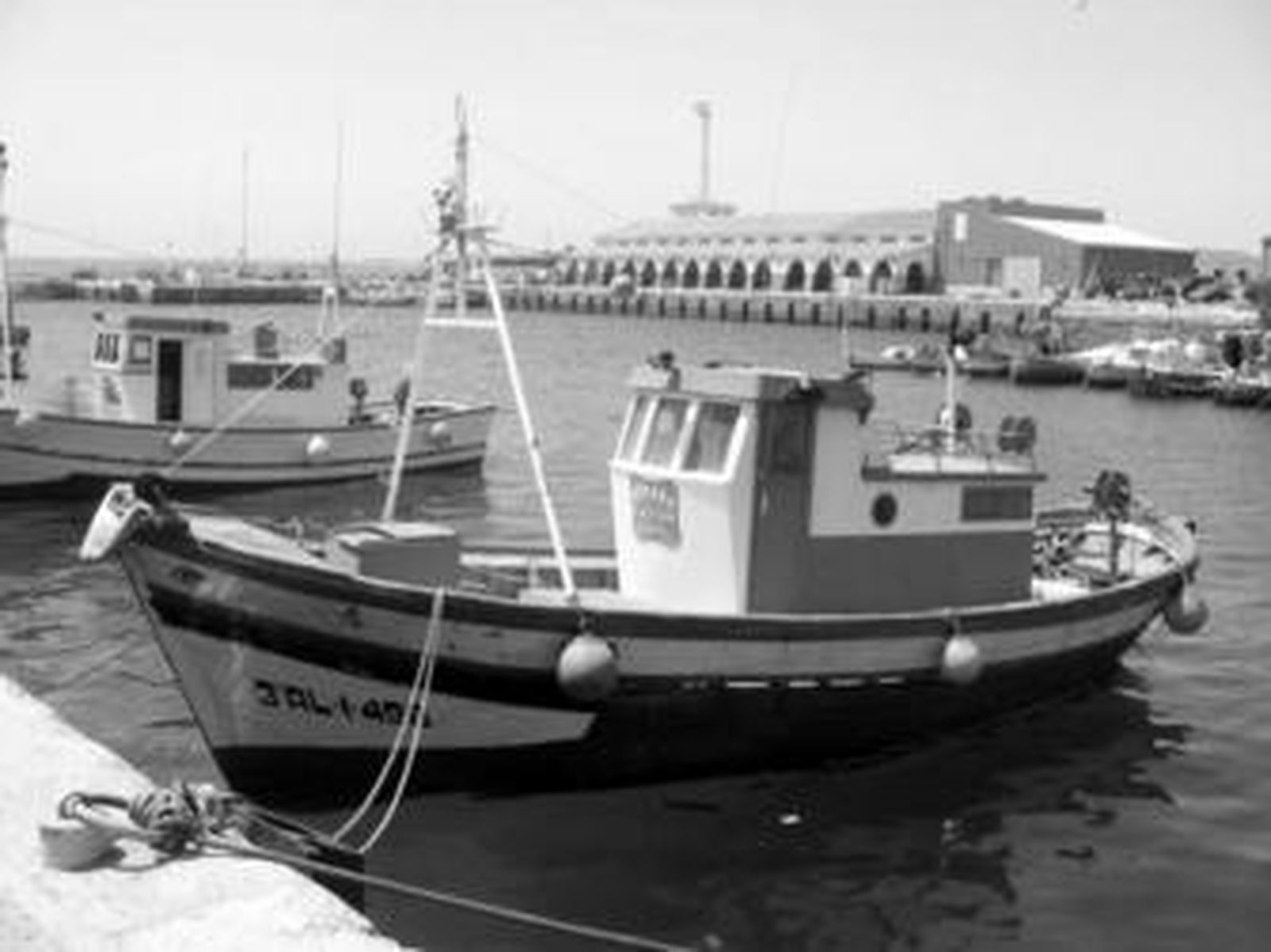Pesqueros dedicados a la captura del voraz, en el puerto de Tarifa.