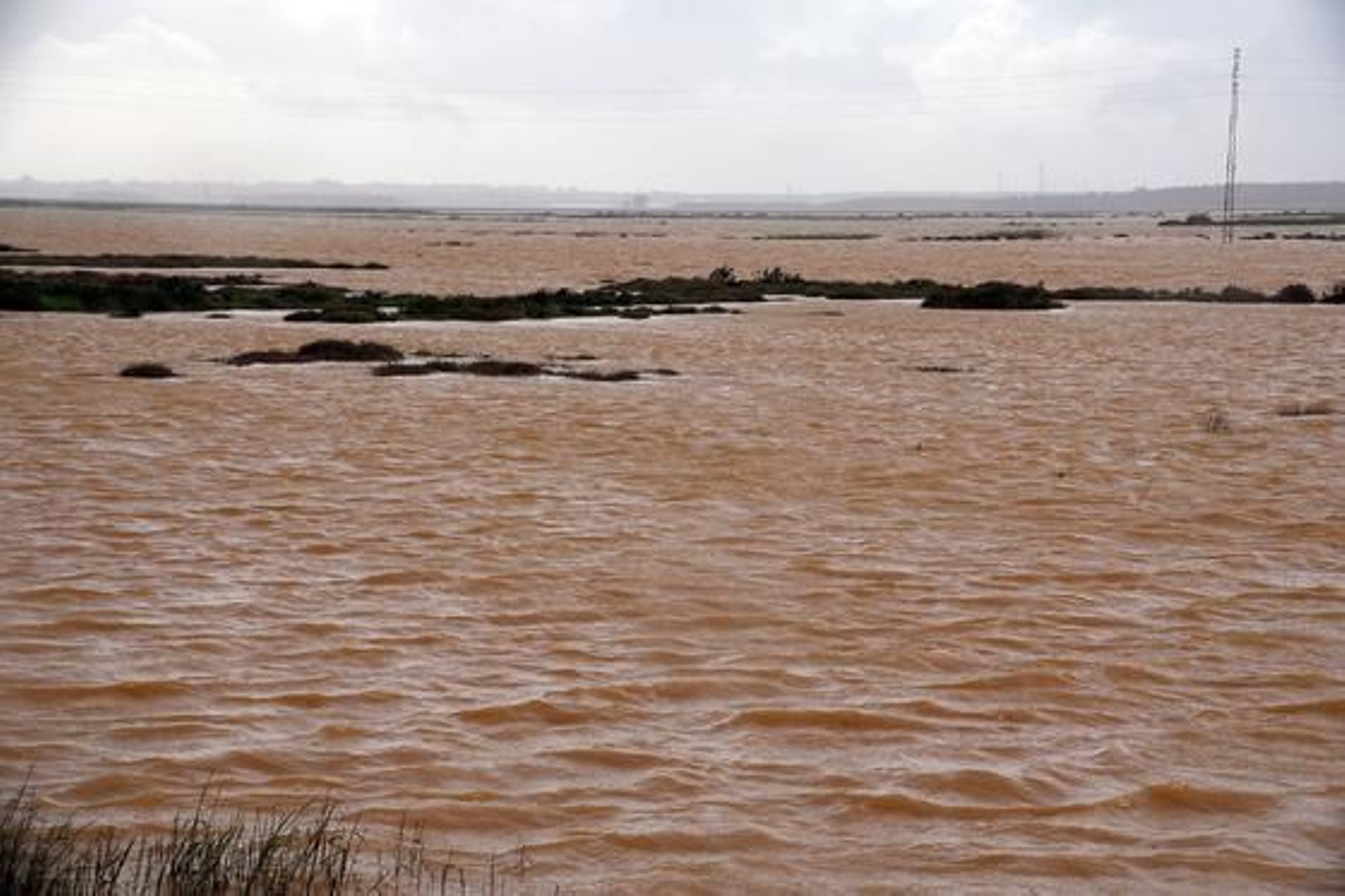 Caudal del río Tinto a su paso por San Juan del Puerto.

Foto: Espínola