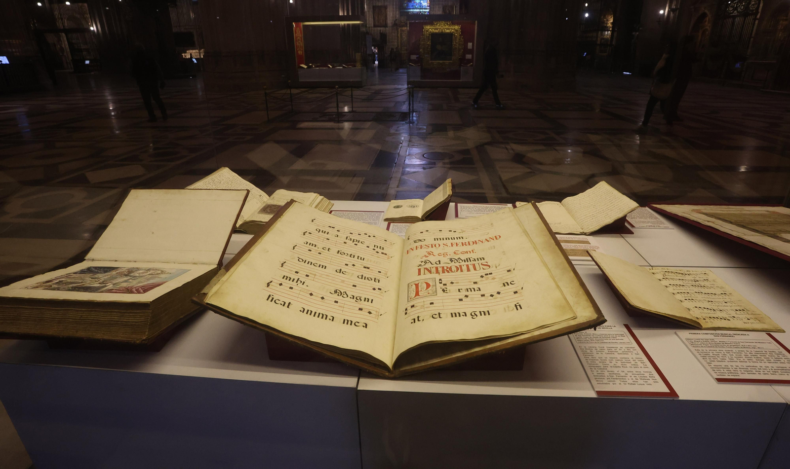 EXPOSICION DE SAN FERNANDO