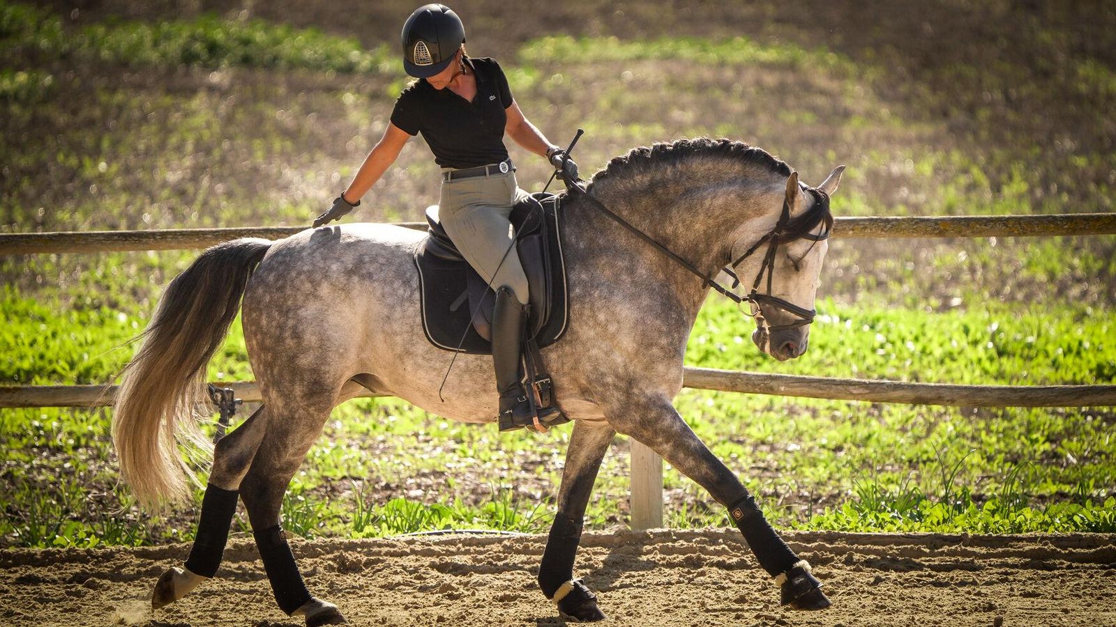 La jinete, agradeciendo al caballo su buen trabajo en pista. La jinete, agradeciendo al caballo su buen trabajo en pista.