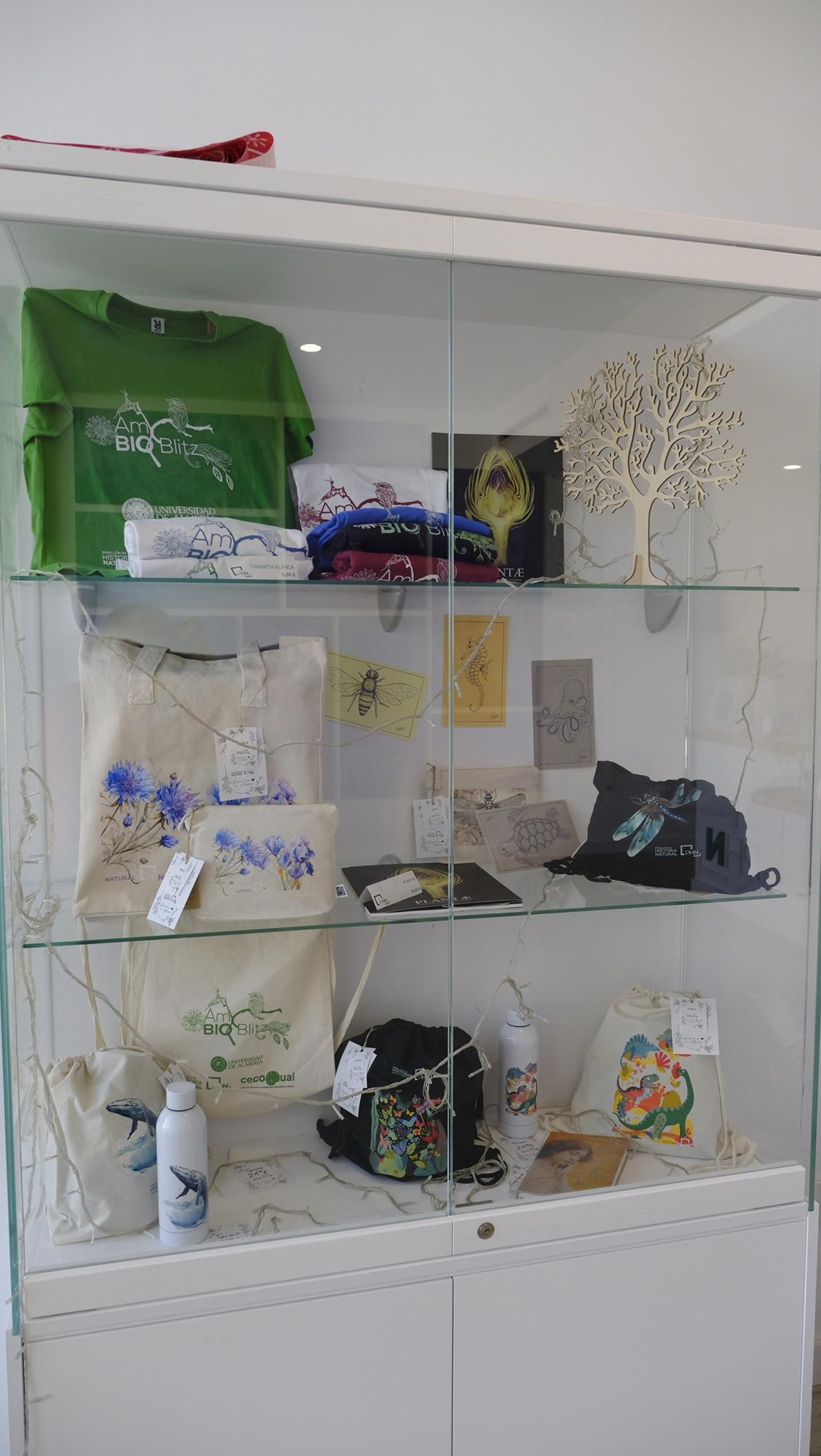 Descubre en estas fotos las maravillas que esconde el Pabellón de Historia Natural de la UAL