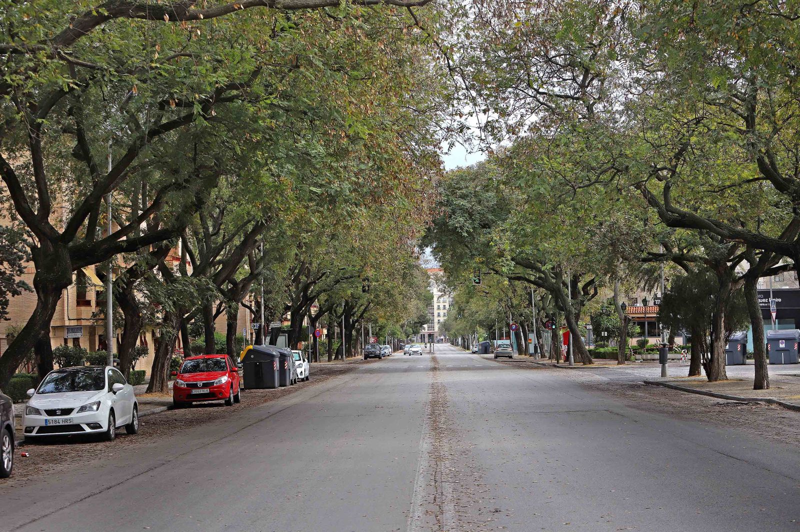 Jerez, un mes en estado de alarma