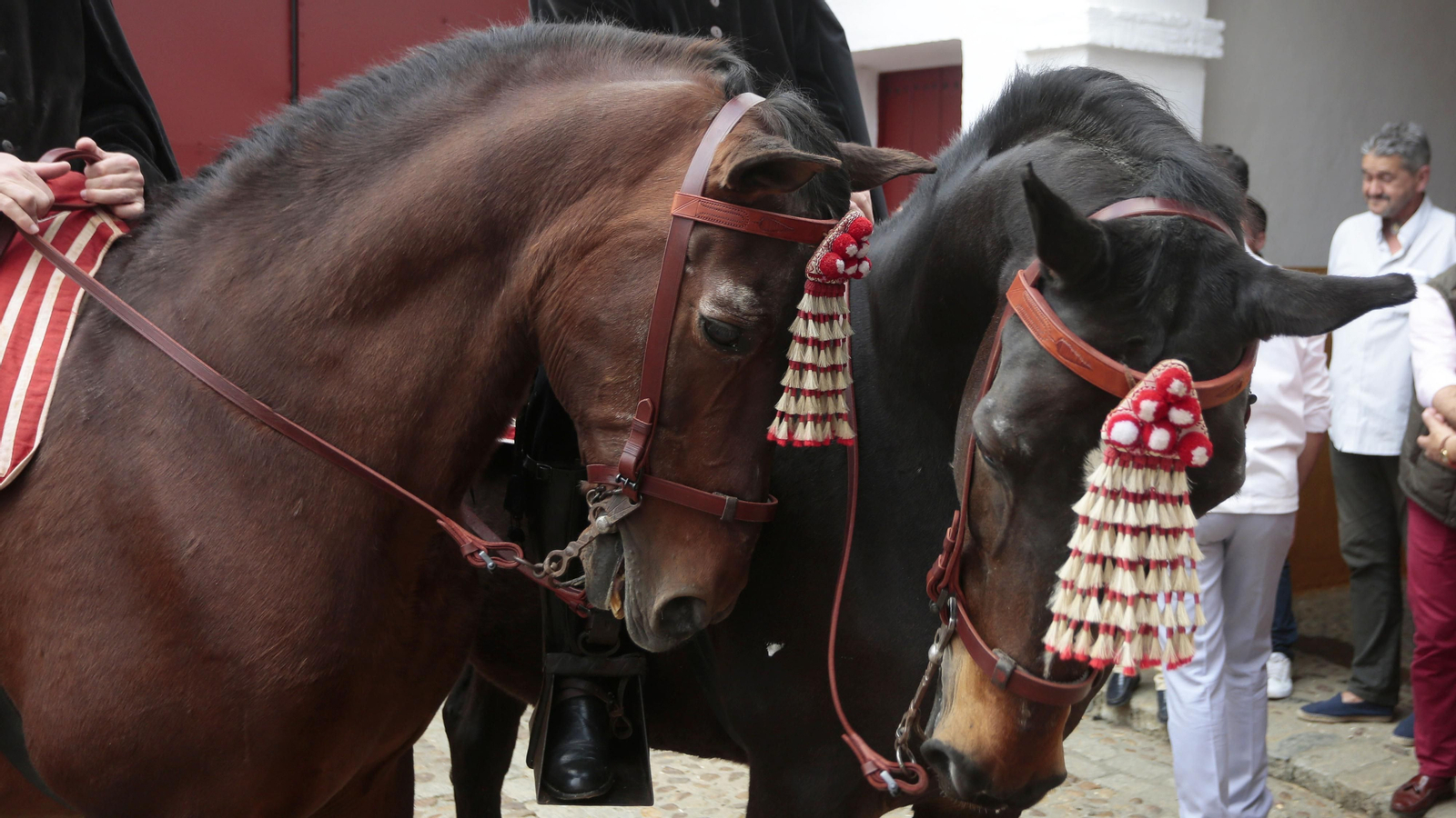 Las imágenes de la segunda de abono en La Maestranza