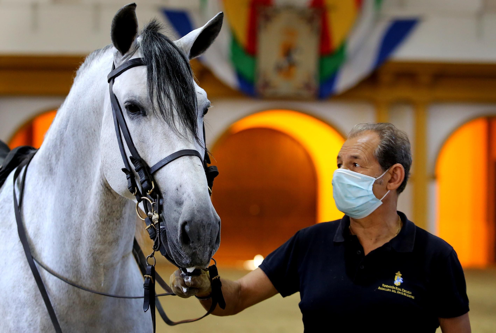 Real Escuela de Arte Ecuestre,Coronavirus