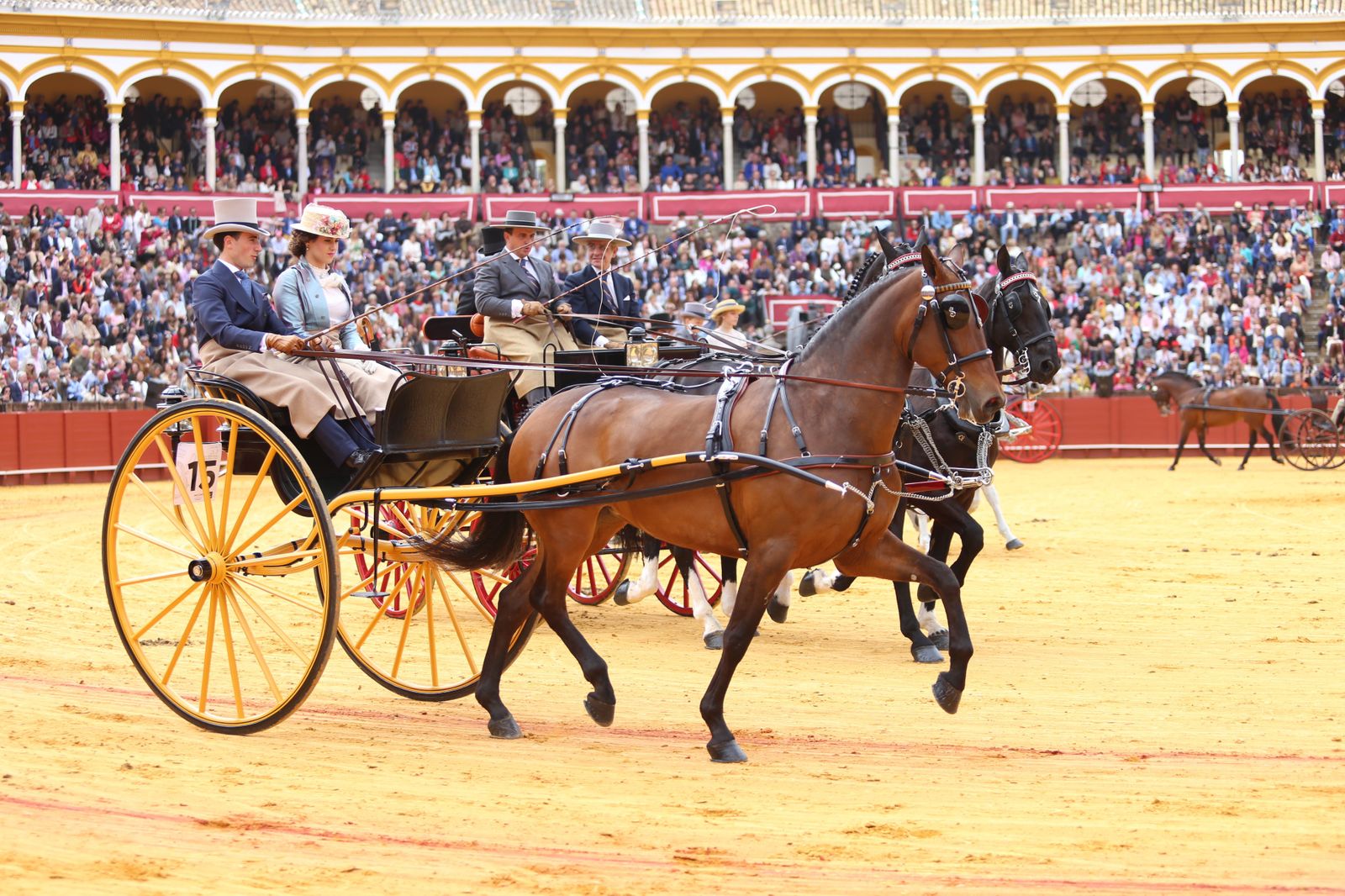 XXXIII Exhibición del Real Club de Enganches de Andalucía en la Maestranza