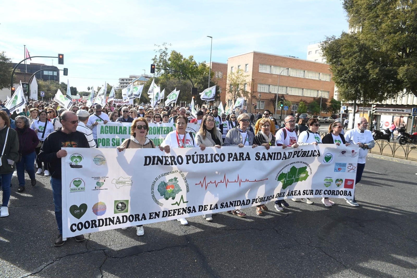 La manifestación en defensa de la sanidad pública en Córdoba
