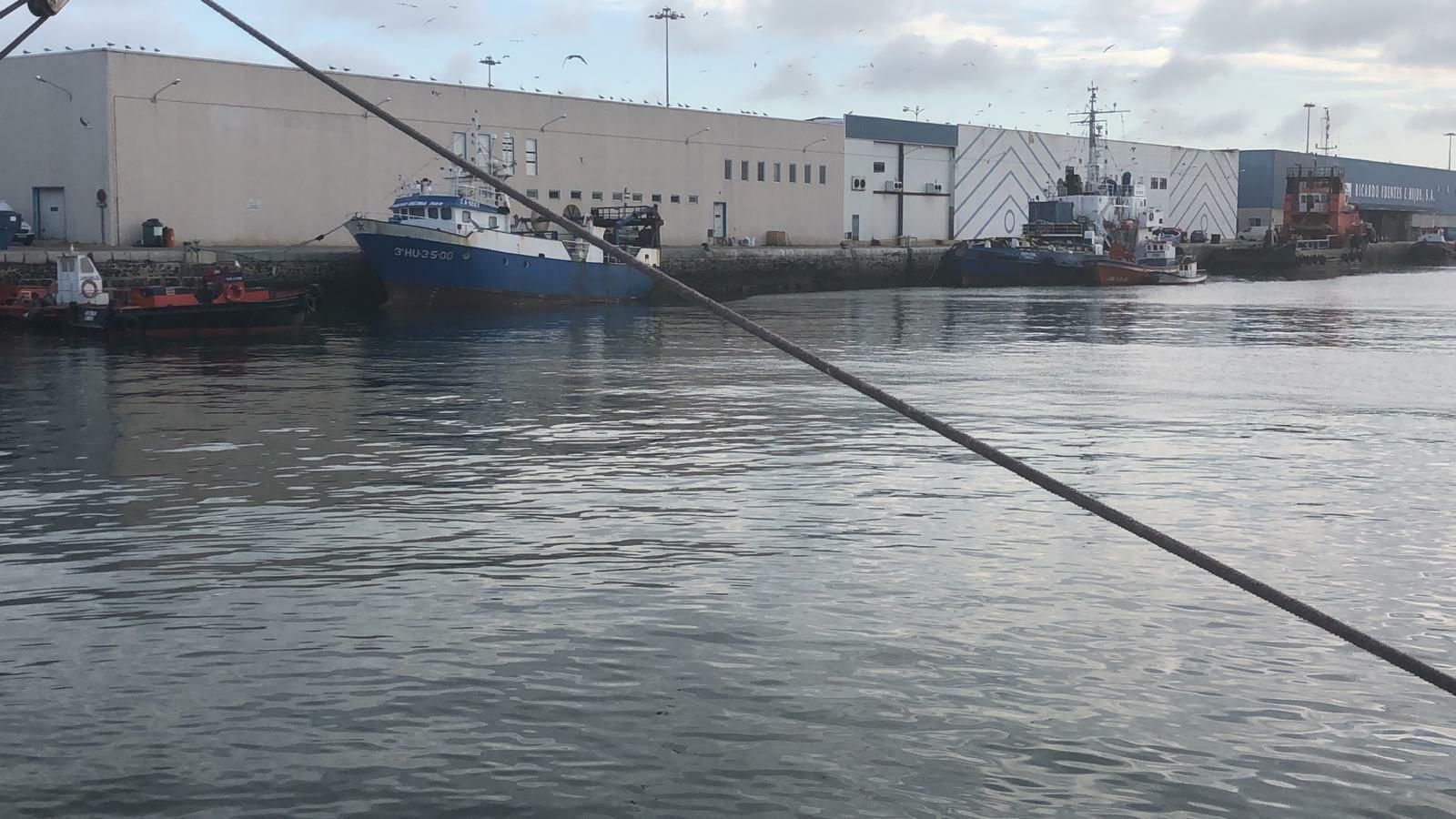 Aspecto que presenta actualmente el muelle gaditano.