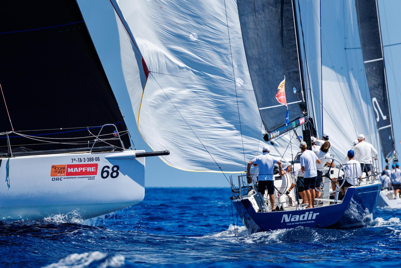 ORCA A Vela Regata (4).jpg