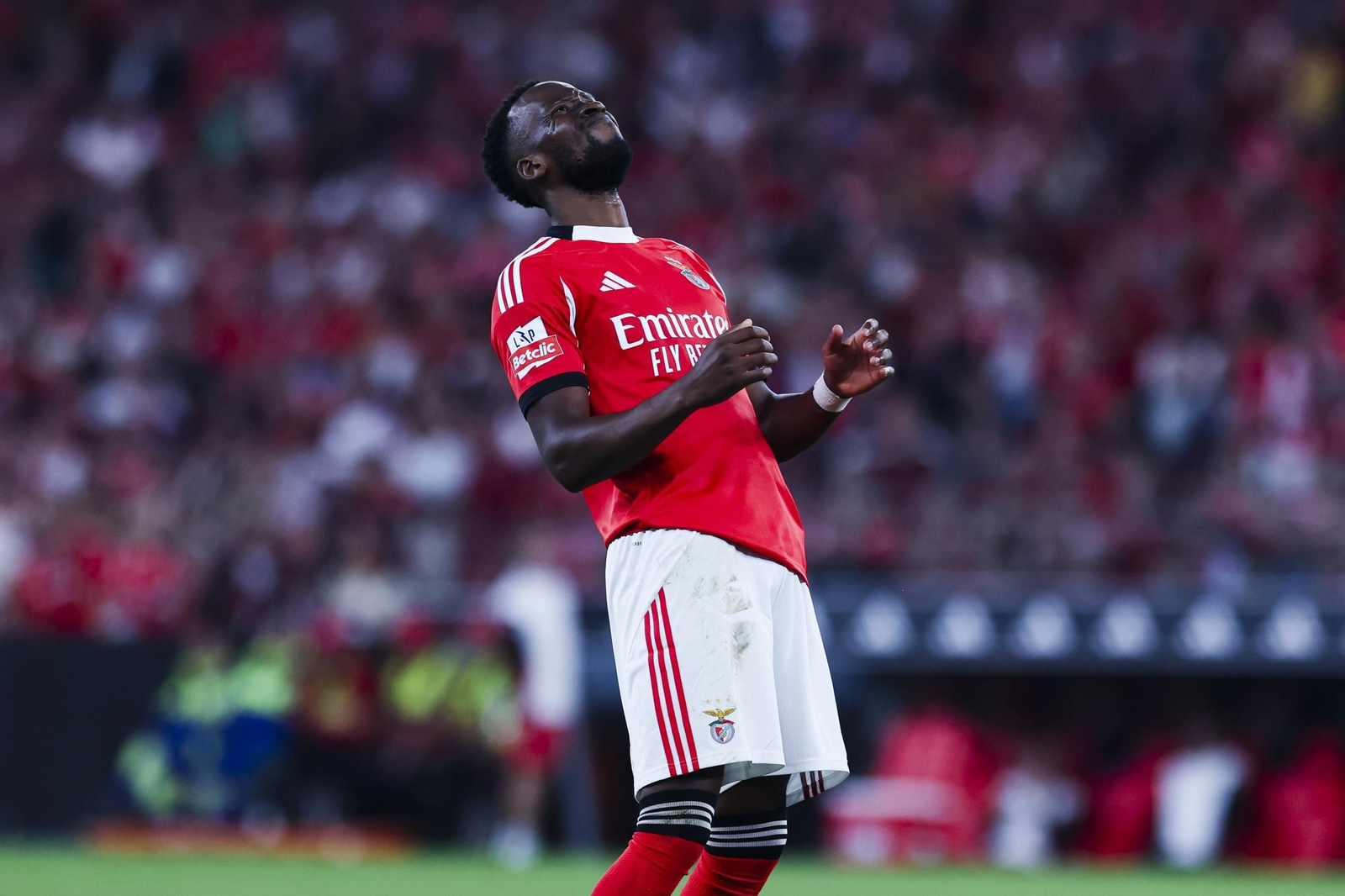Lukébakio se lamenta tras una ocasión fallada con el Benfica esta temporada.