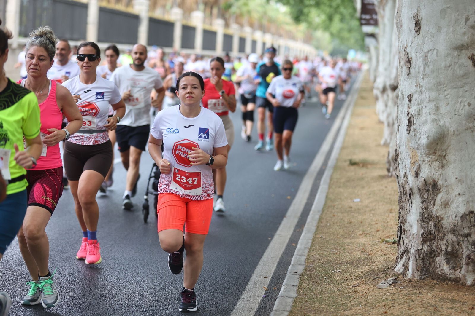Las mejores fotos de la Carrera Ponle Freno en Málaga