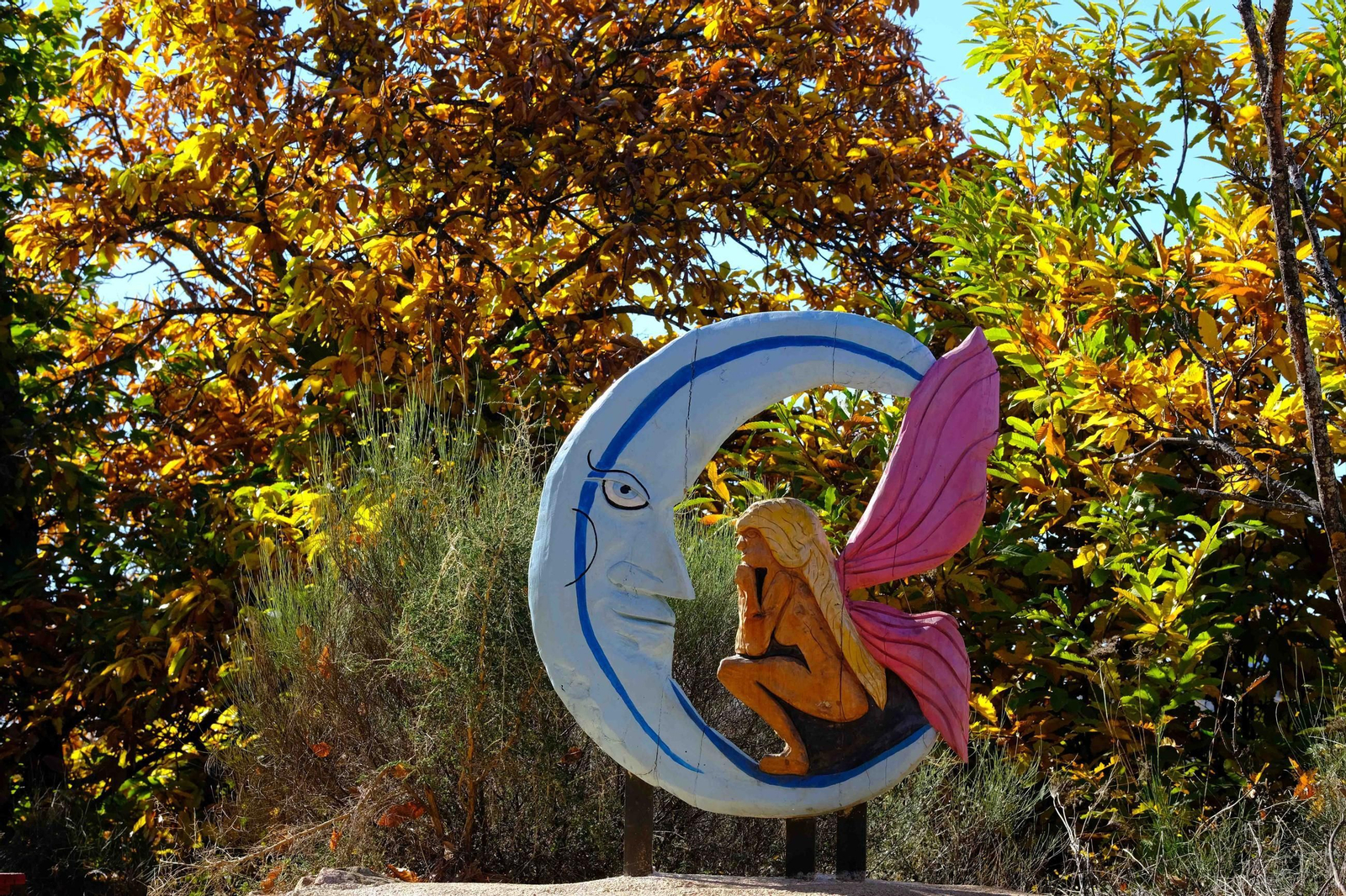 El Bosque de Cobre, en imágenes