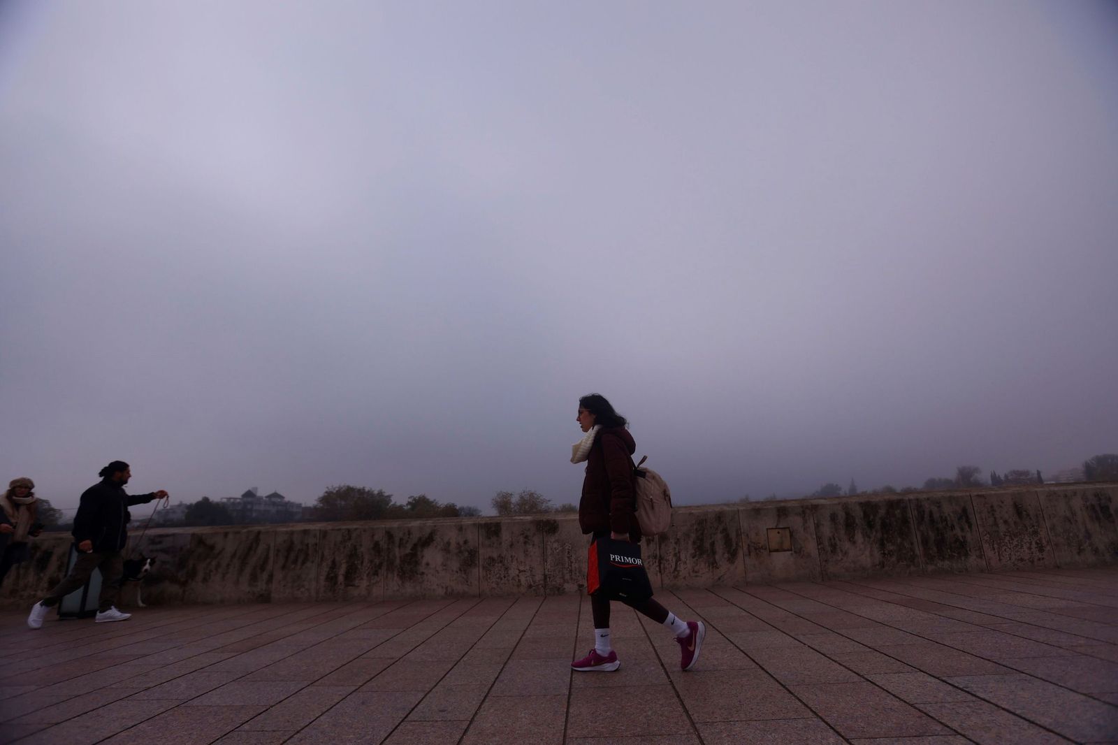 Córdoba amanece bajo la niebla el último día de 2025, en fotos