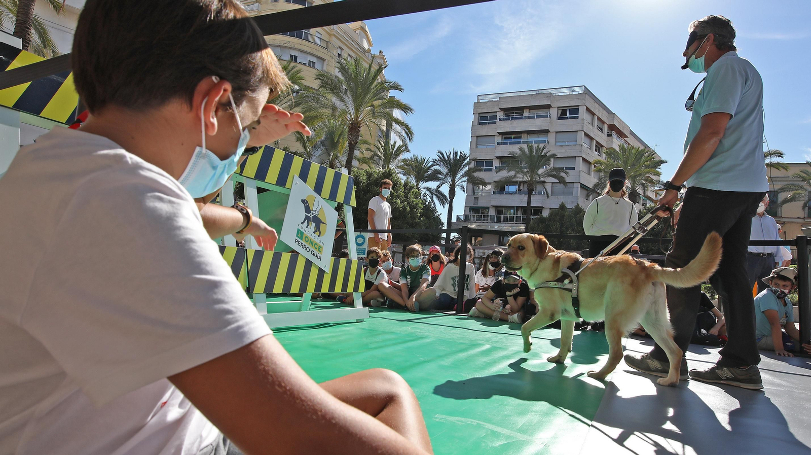 Exhibición en la plaza del Arenal del adiestramiento de perros guía de la ONCE