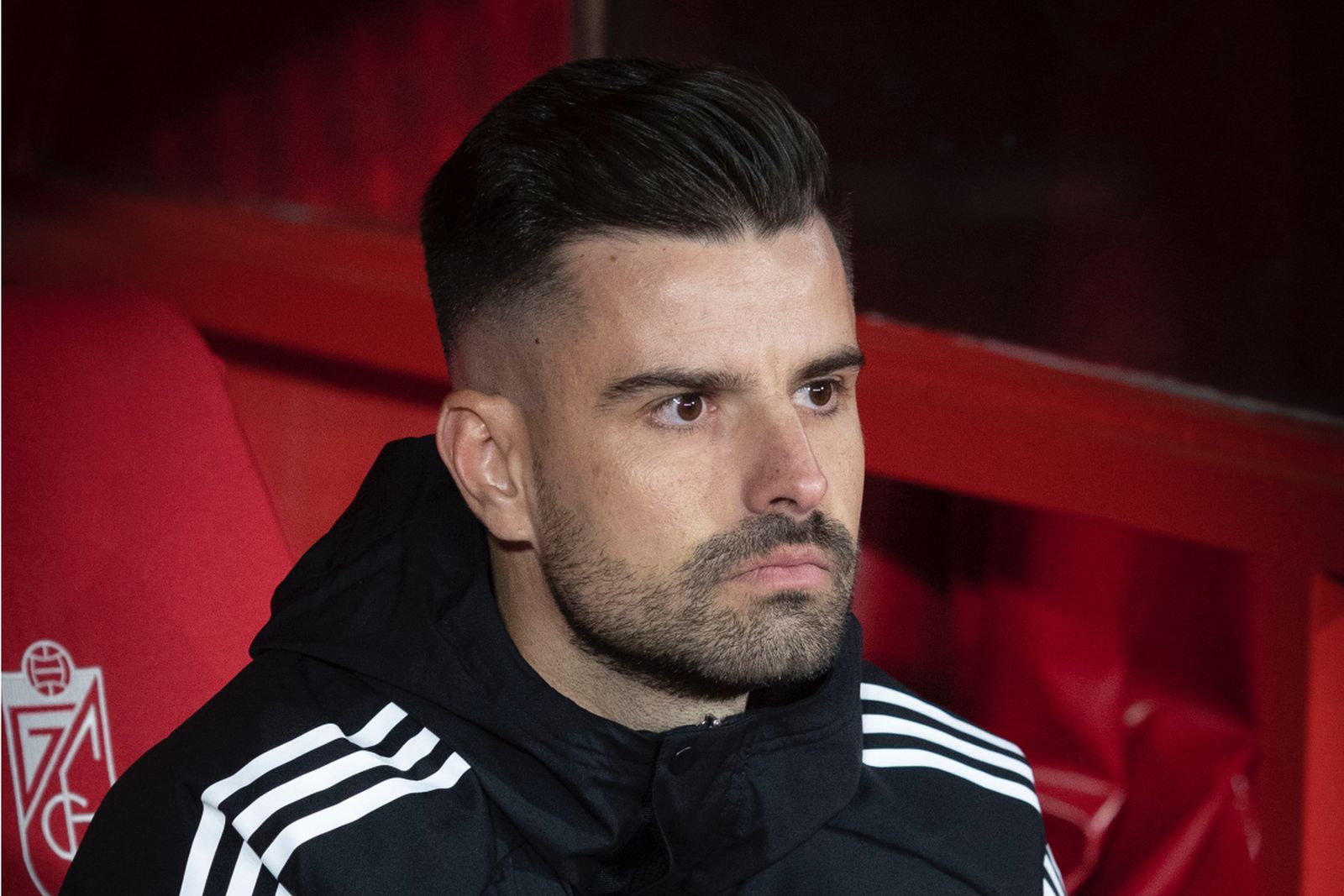 Roger Lamesa, reflexivo.