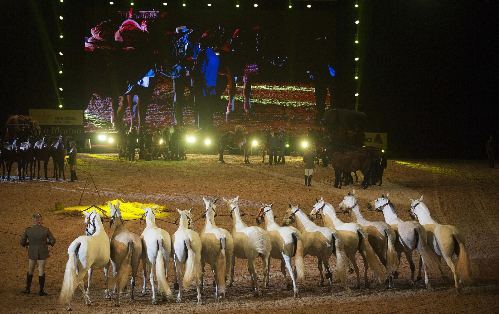 La inauguración de Sicab 2018, en imágenes