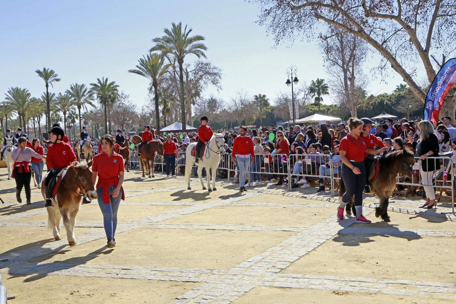 Imágenes de San Antón 2020 en Jerez