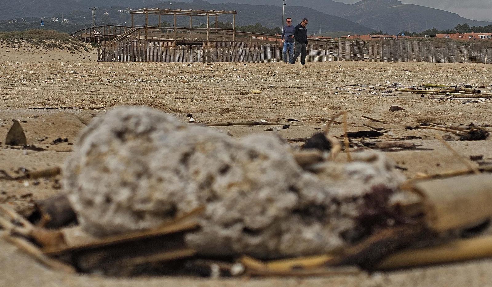 Fotos de la limpieza de las bolas blancas en la playa de Getares en Algeciras