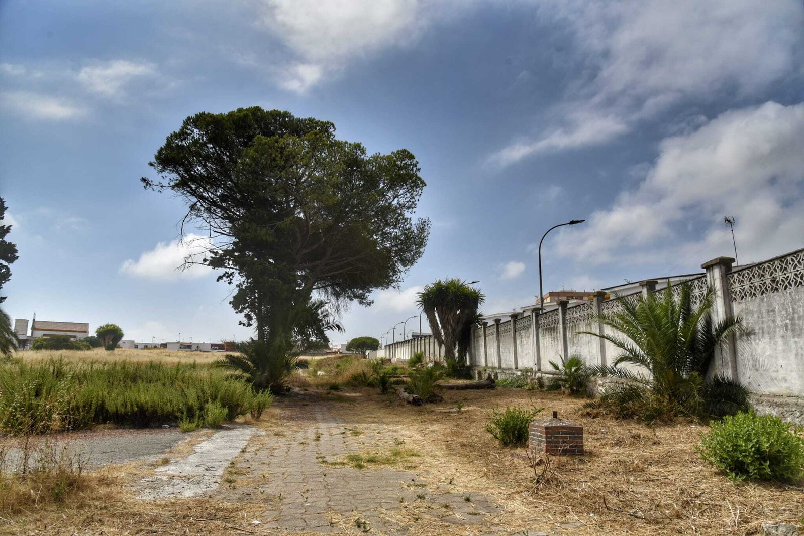 Terrenos de Eras de las Torres, donde el Gobierno plantea un CETI en Algeciras.