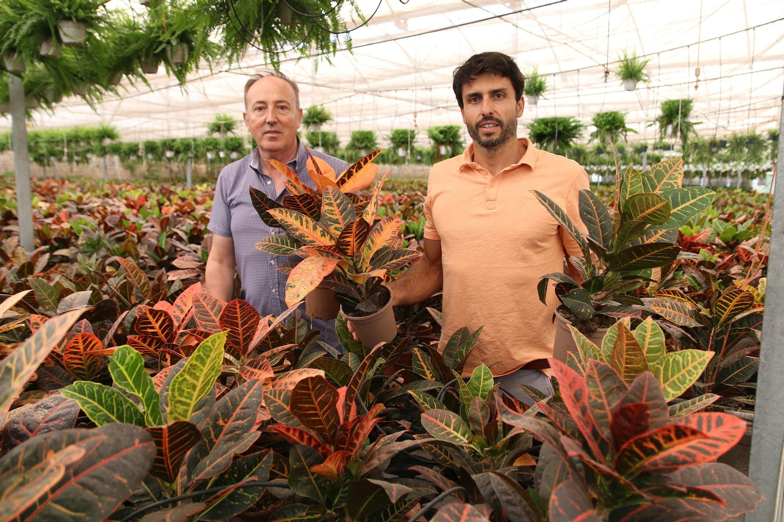 Dioni Freniche y Julio Vicini, con flores ornamentales en las instalaciones de POM.