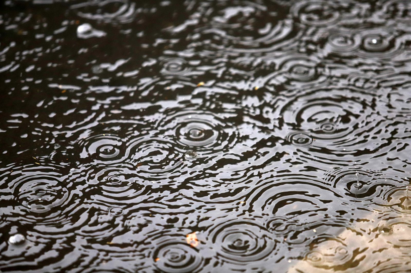 Imágenes del domingo 3 de septiembre en Huelva