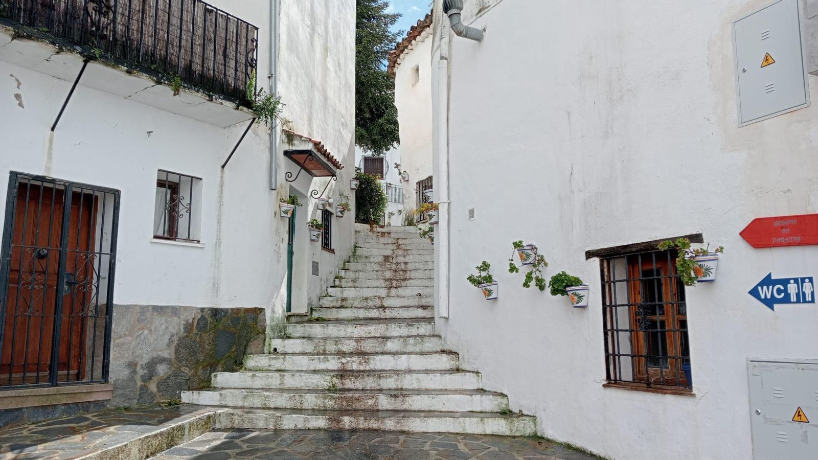 Una visual de Parauta