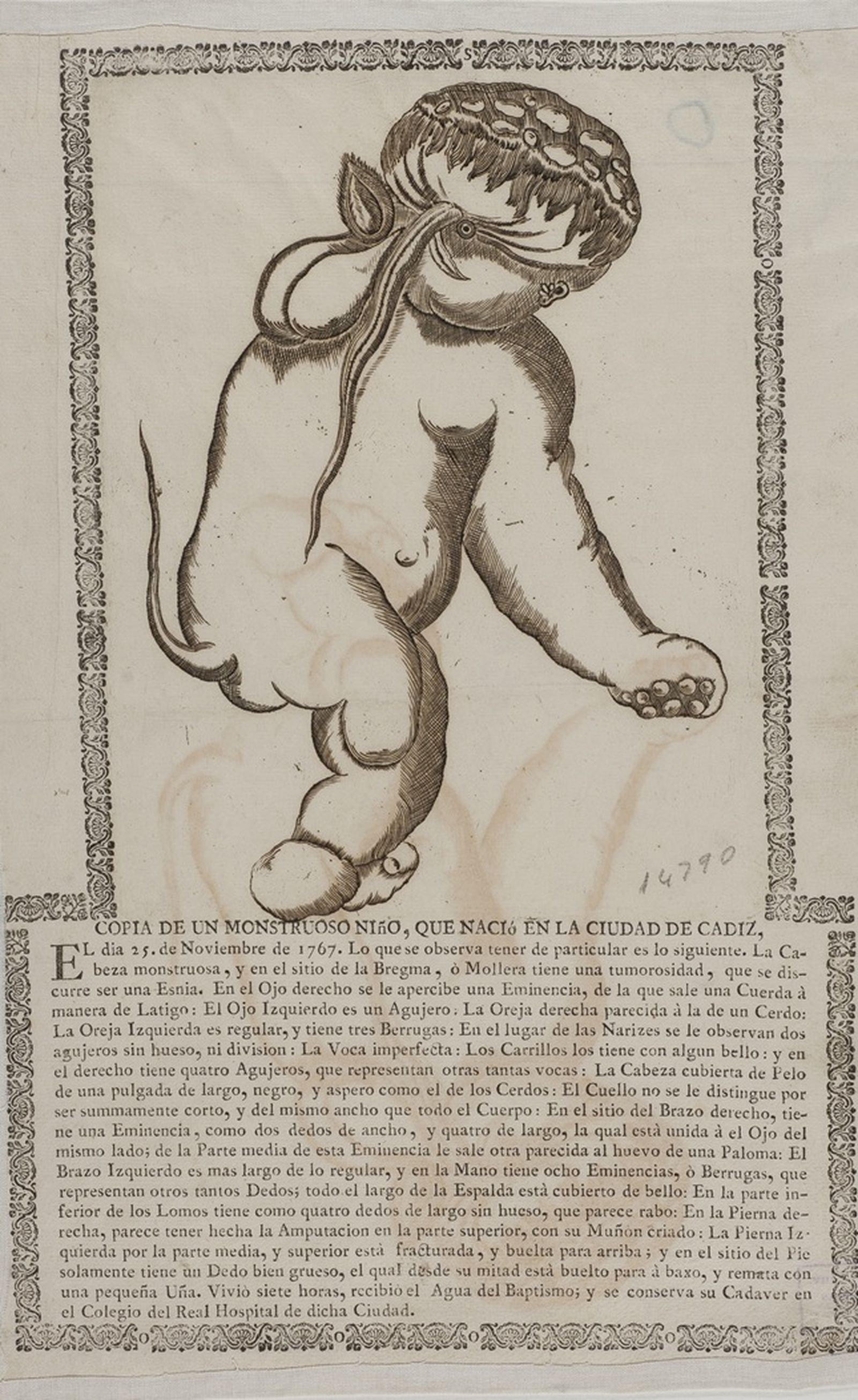 Dibujo del monstruo nacido en Cádiz 1761. Biblioteca Digital Hispánica.