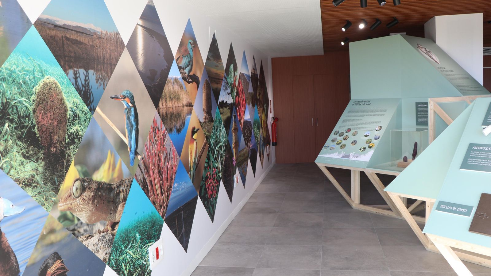 El Centro de Interpretación de Punta Entinas-Sabinar estrena el distintivo de 'Centro Azul'.