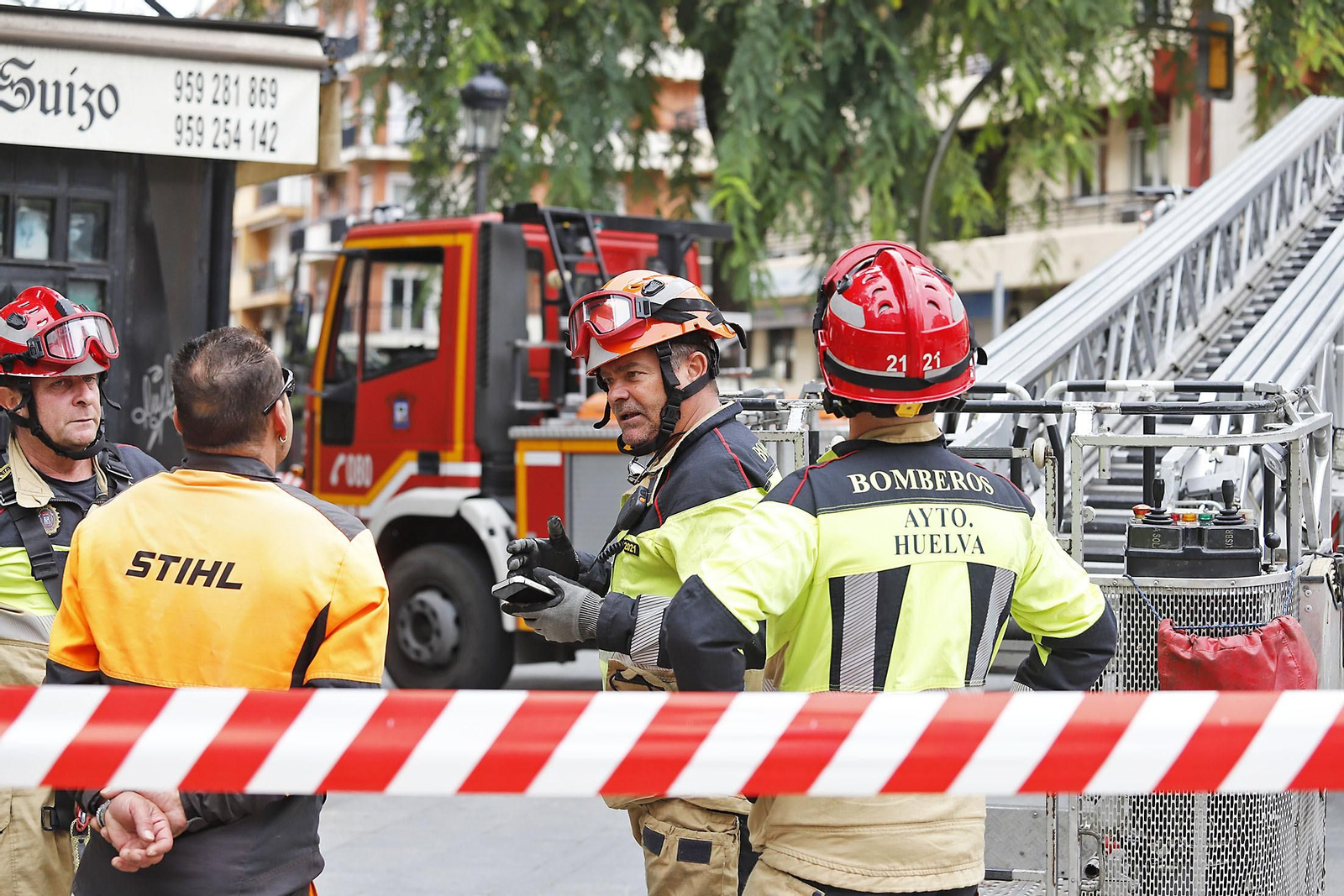 La palmera de Huelva es sometida a una inspección y posterior poda tras el paso del último temporal