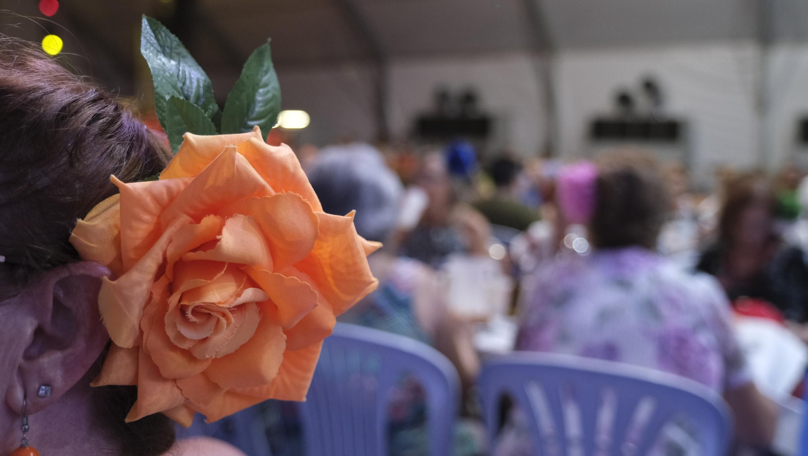 El homenaje a los mayores en la Feria de Almería 2025, en imágenes