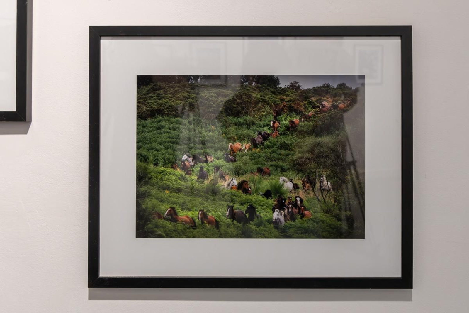 Exposición La Tierra, corazón de la vida, en imágenes