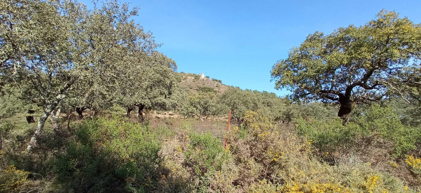 Fotos de la Ruta circular Aracena-Linares de la Sierra-Aracena