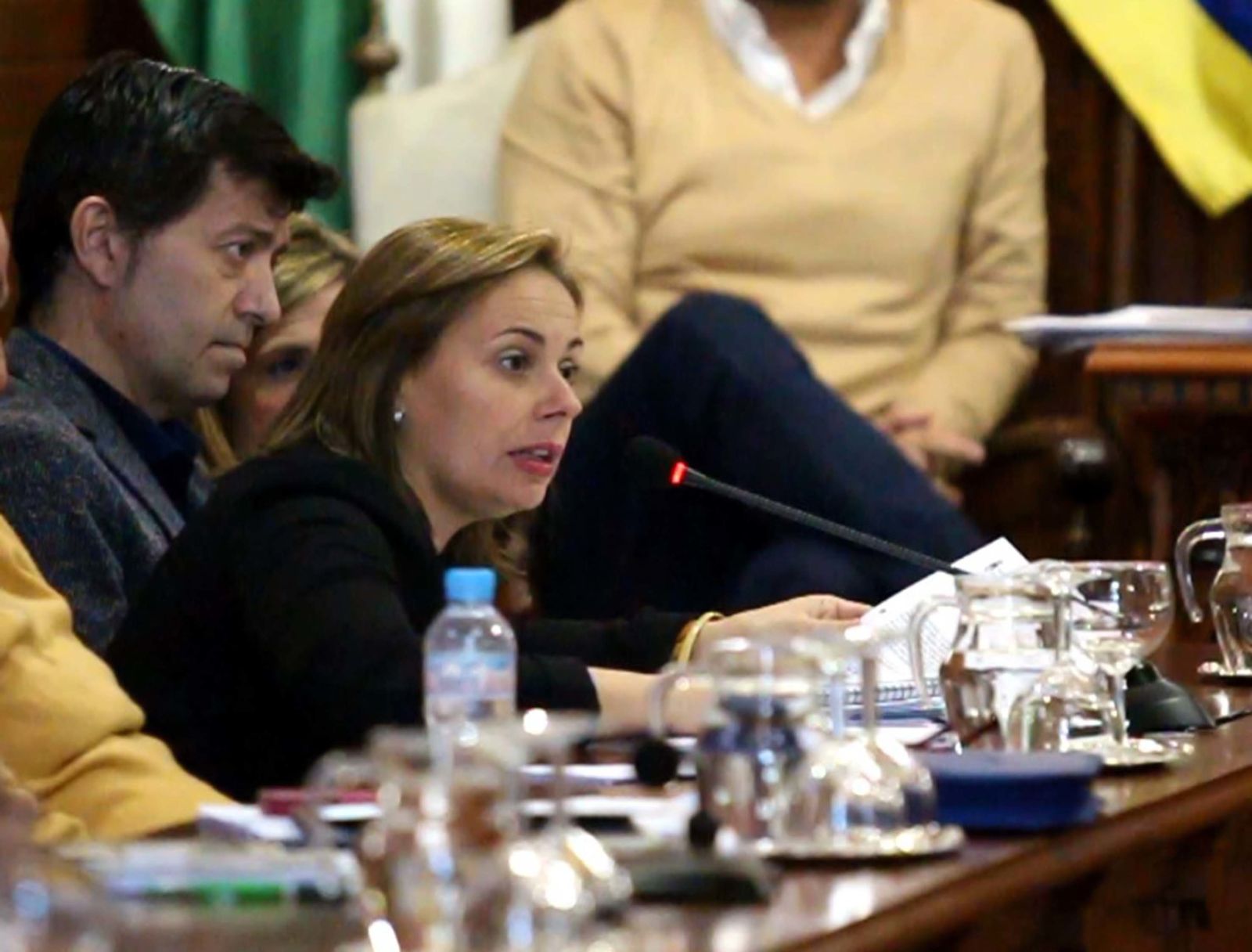 La concejala de Economía y Hacienda, en la sesión plenaria.