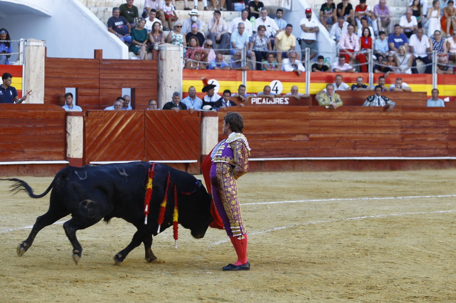 Fotogalería de la novillada de la Feria Taurina de Almería 2022