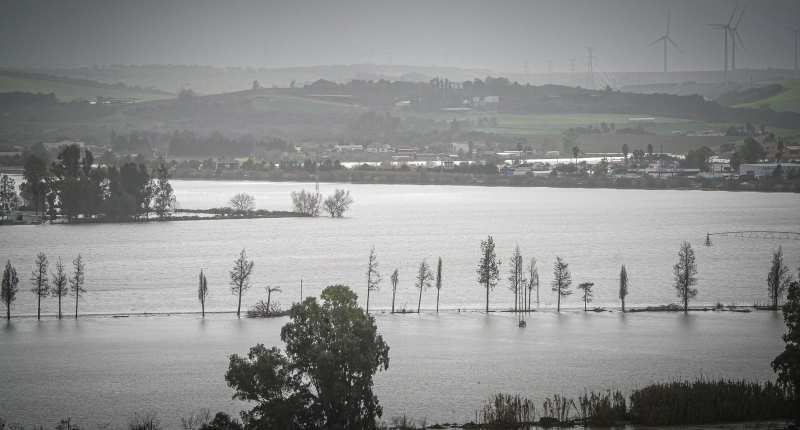 Imágenes de las zonas afectadas por la crecida del rio Guadalete en Jerez