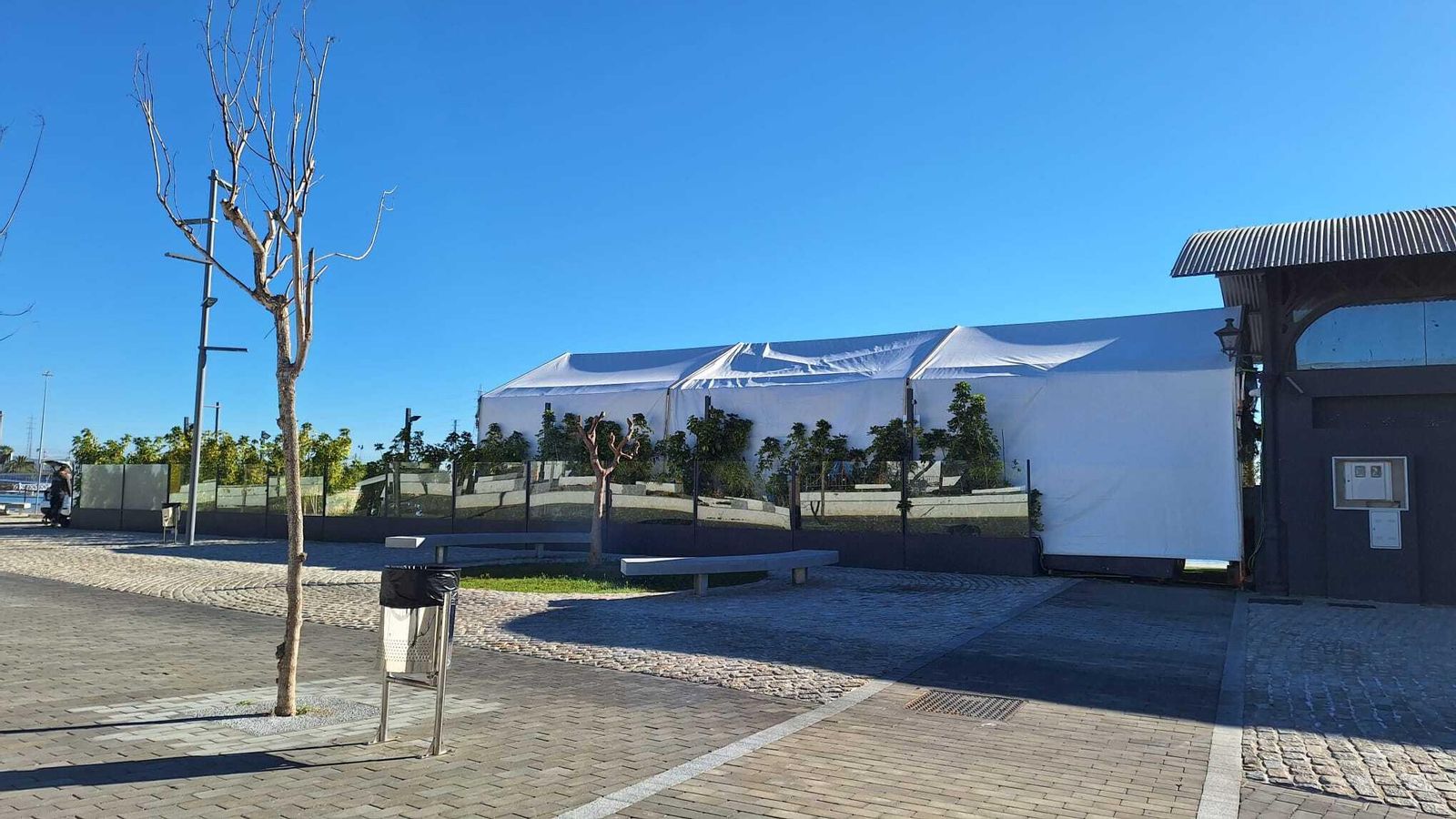 Una imagen de la carpa, antes de su retirada.