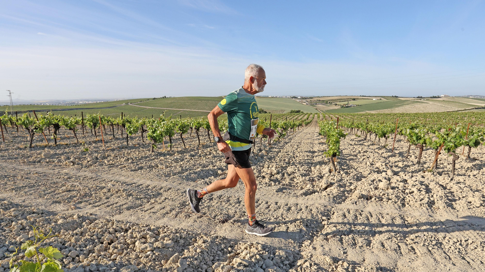 VI Sherry Maratón Jerez
