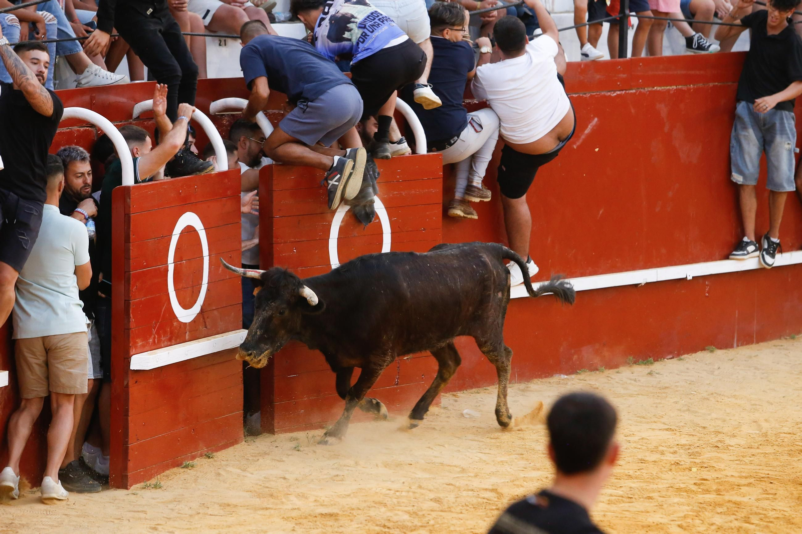 Fotos del Toro del Aguardiente en San Roque
