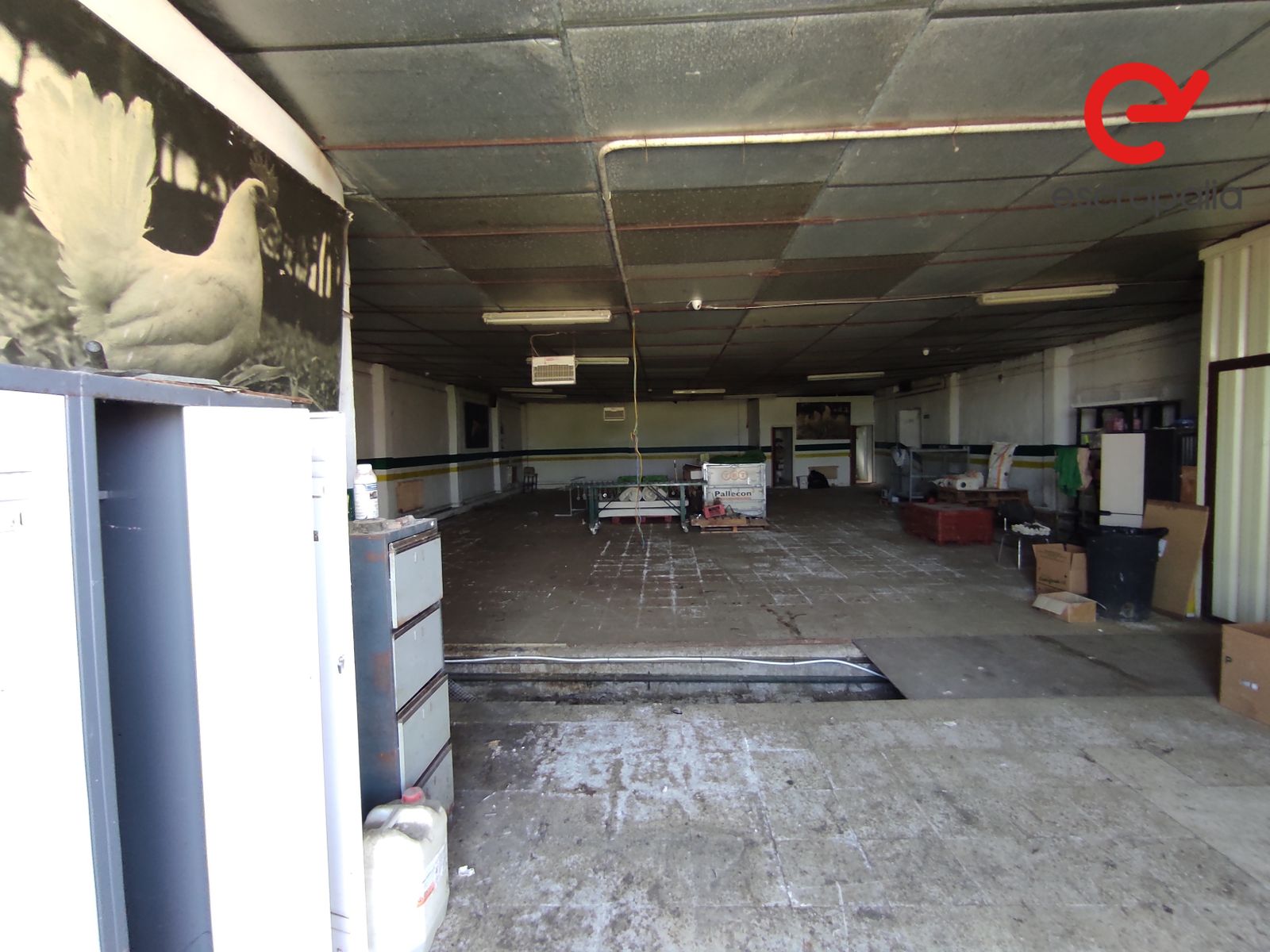 La granja de 43.000 metros cuadrados a subasta por 1 euro