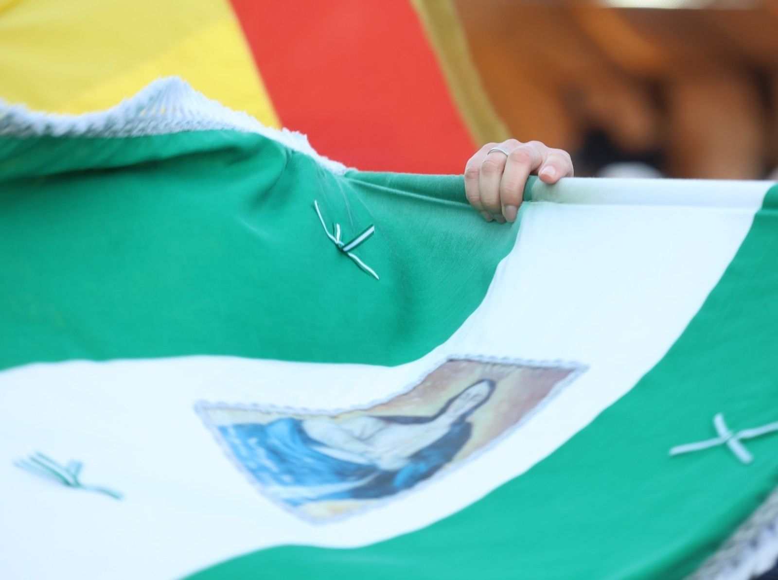 Las fotos de la Fiesta Mayor de Verdiales de Málaga