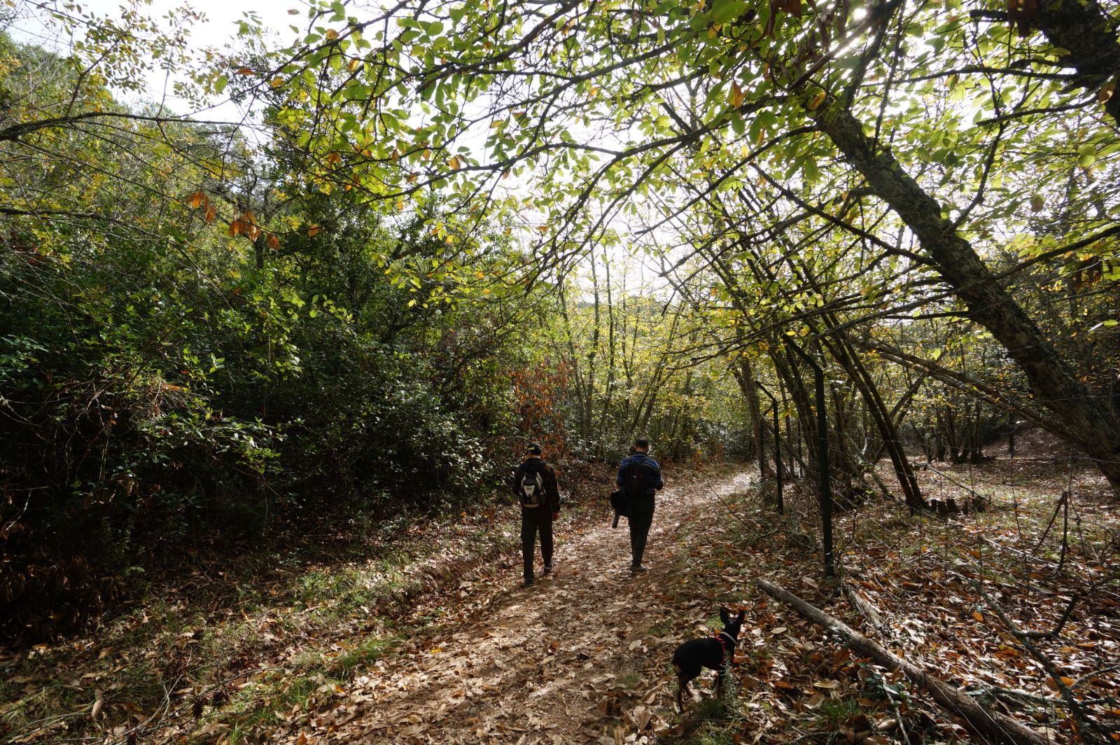 Dos senderistas por la Sierra de Córdoba.